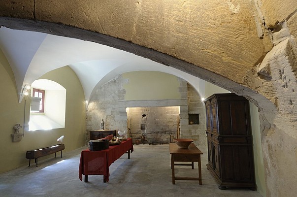 Château de Roussillon