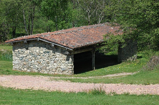 Lavoine