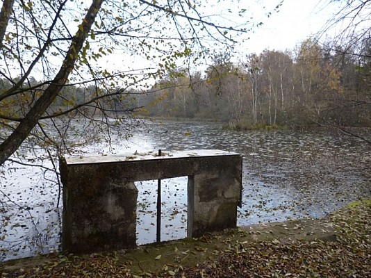 Etang de But, ENS de l'Ain