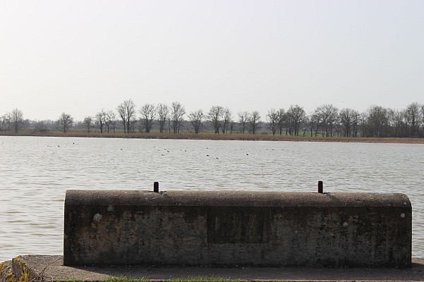 Etang du Grand Birieux, ENS de l'Ain