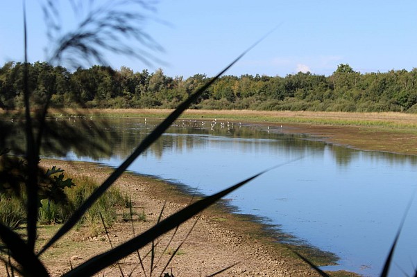 Domaine de Vernange, ENS de l'Ain