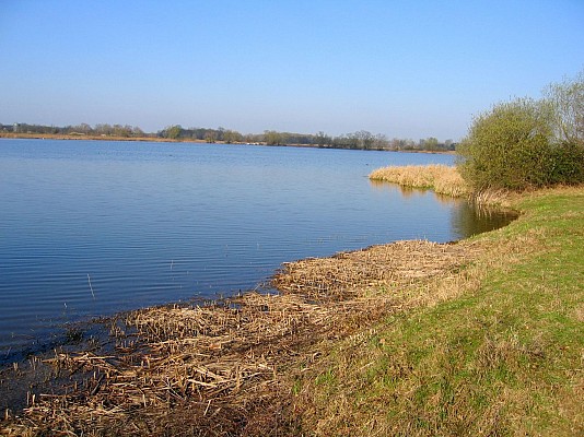 Réserve départementale de la Dombes, ENS de l'Ain