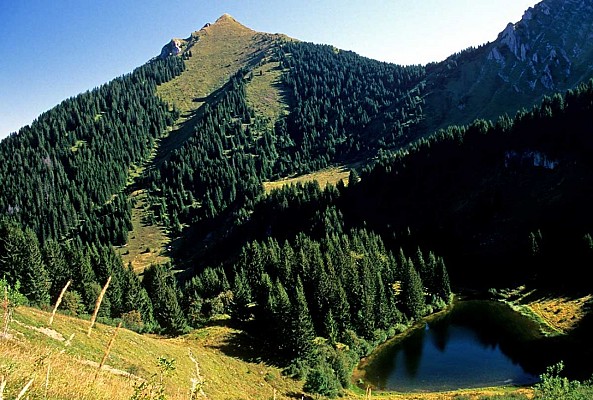 Lac de Damoz des Moulins