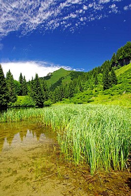 Lac de Damoz des Moulins