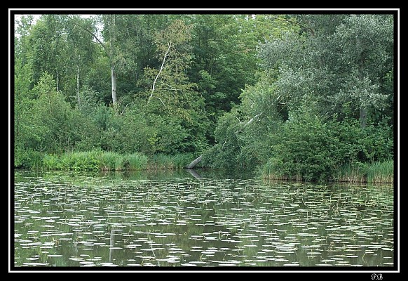 Espaces Naturels Sensibles en Val d'Essonne