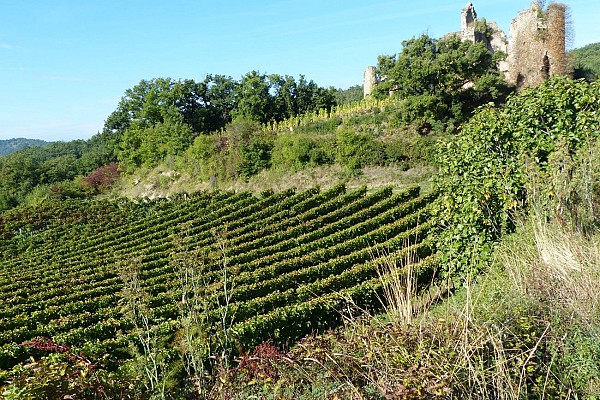 Château de Larnage