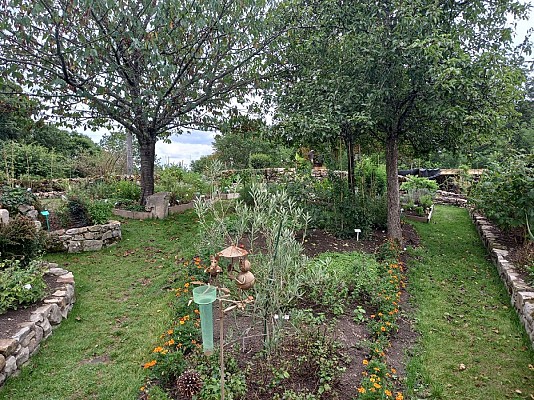 Jardin botanique_1