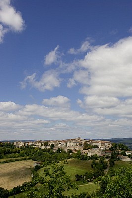 Castelnau-de-Montmiral