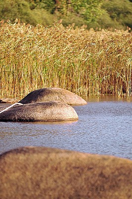 Lac du Merle