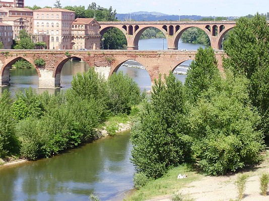 Les berges du Tarn