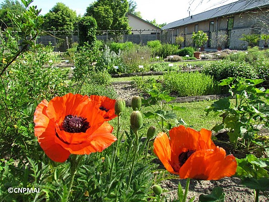 Conservatoire National des Plantes