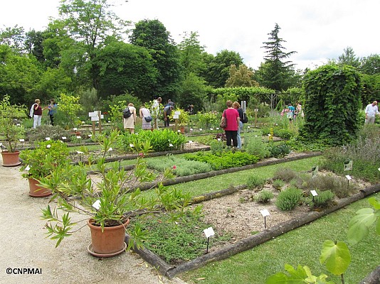 Conservatoire National des Plantes