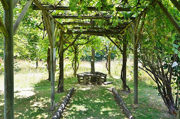 Conservatoire National des Plantes