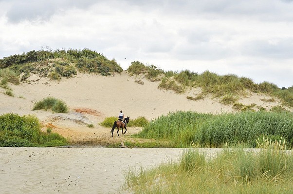 Hardelot