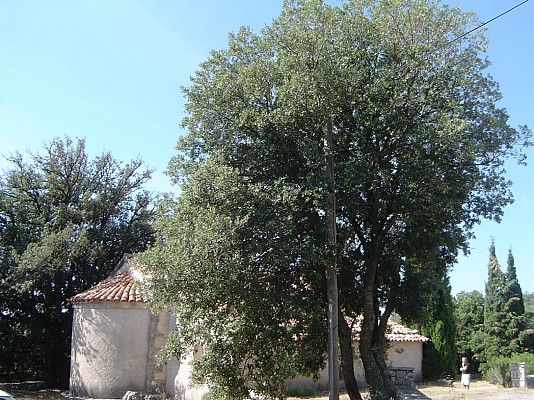 Chapelle St Pierre