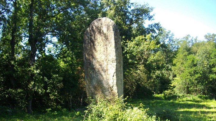 Le Menhir des Prats