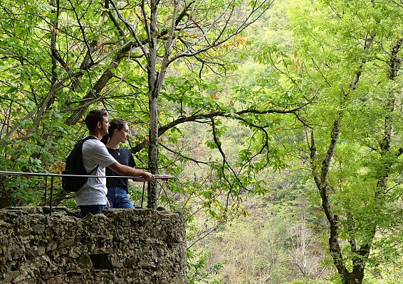Jardin Cormouls Houlès