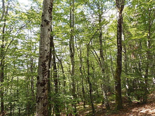 La Chabanne