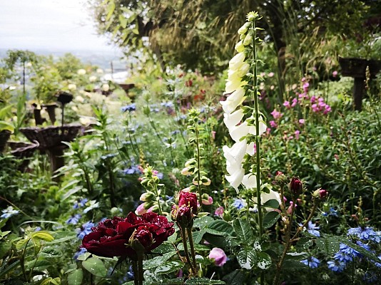 Les Jardins des Hurlevents