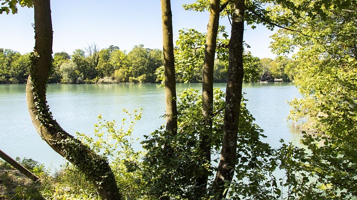 Le Bois des Naix