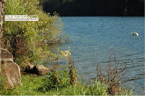 Lac de Conflans