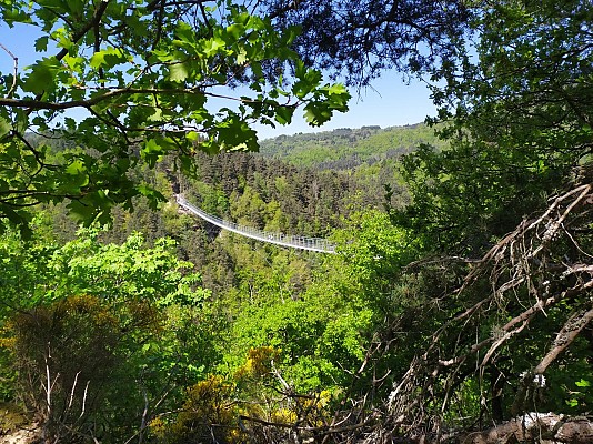 Passerelle des Gorges du Lignon