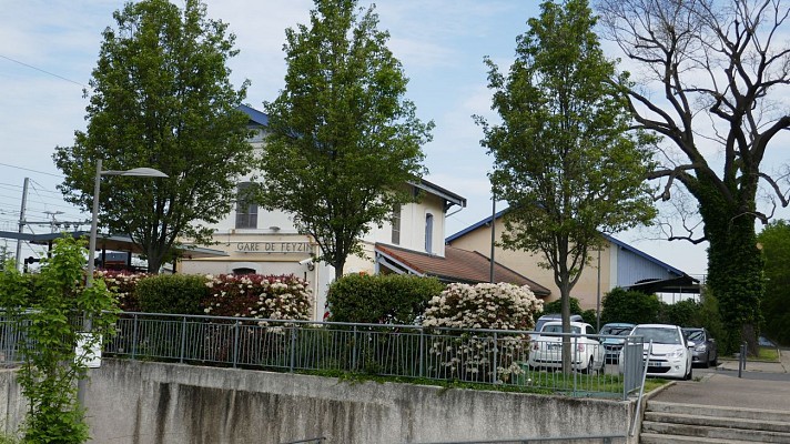 Feyzin et son fort