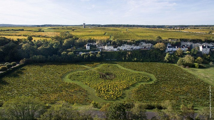 La Grande Vignolle