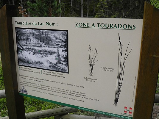 La Tourbière du Lac Noir