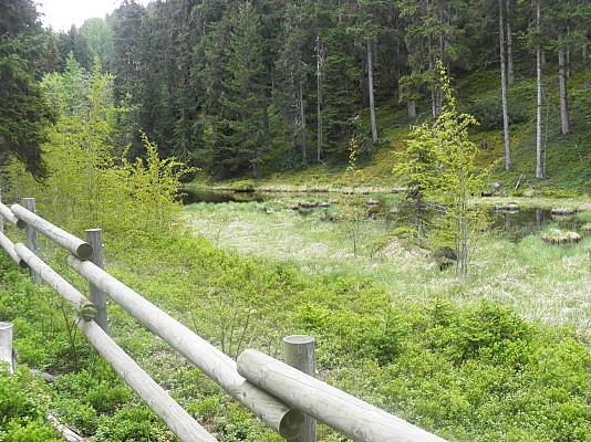 La Tourbière du Lac Noir