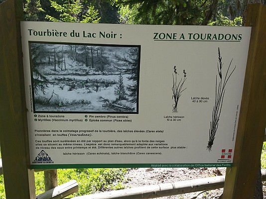 La Tourbière du Lac Noir