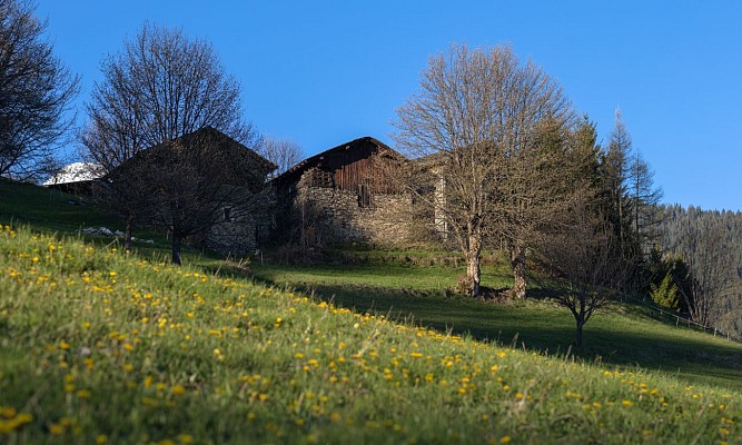 Les Monts