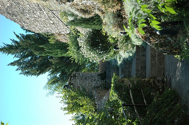 Tour Médiévale de Morestel