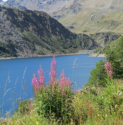 Barrage de Bissorte