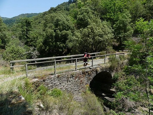 Pont sur le Gardon