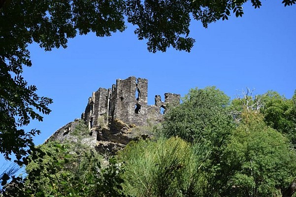 Château de St Julien d'Arpaon