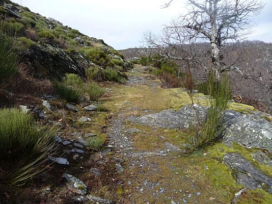 Chemin de Massevaques / Rousses