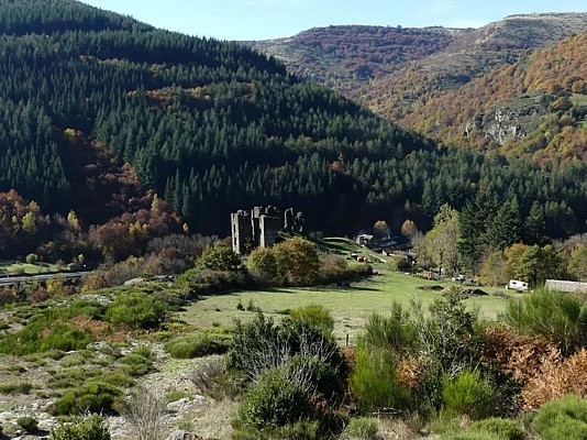 Château de Saint-Julien-d'Arpaon