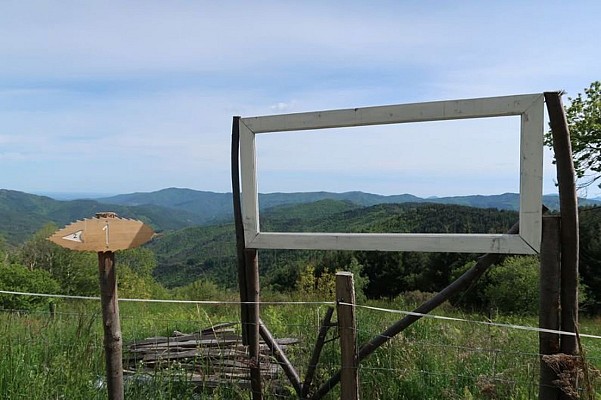 Sentier de la châtaigneraie