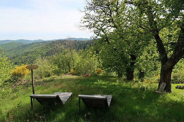 Sentier de la châtaigneraie