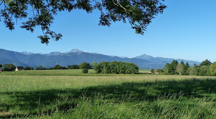 Le chemin des Tumulus