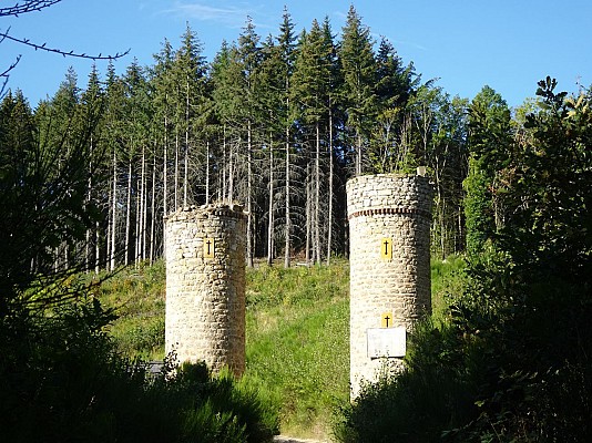 Vaugneray - Au cœur des Crêts Boisés (circuit long)