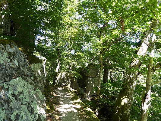 Les gorges du Bès