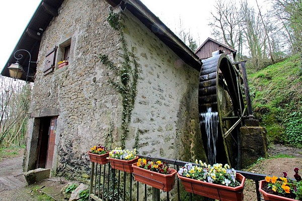 Moulin à huile de Chanaz : visite du Moulin