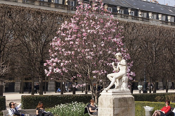 Jardin du Palais Royal