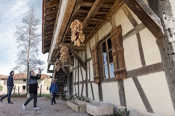 La Ferme de la Forêt