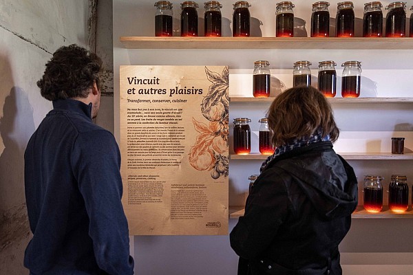 La Ferme de la Forêt