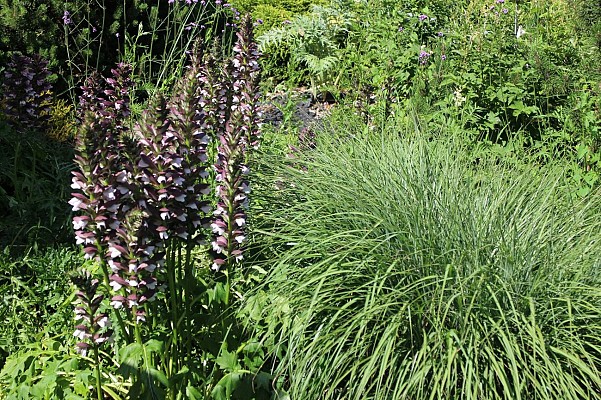 Jardin du Musée d'Art et d'Industrie