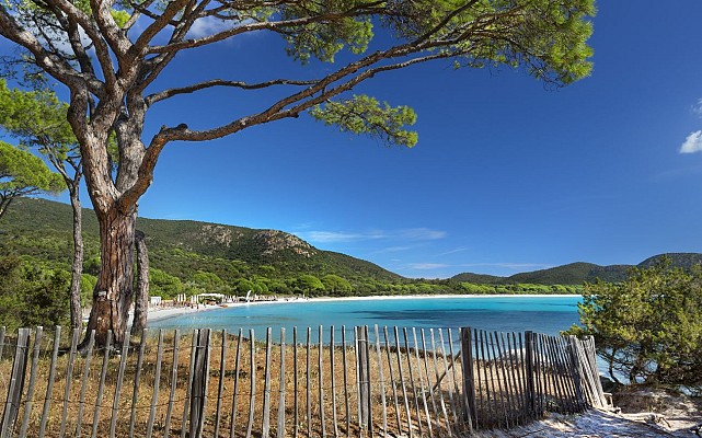 La plage de Tamaricciu, A Folacca