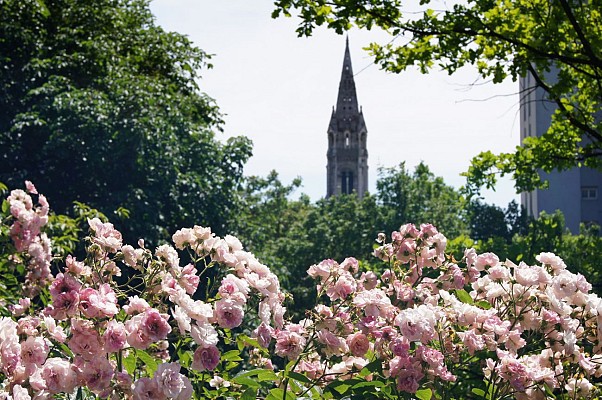 Parc de Belleville